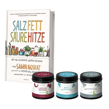Salz Fett Säure Hitze Set mit rosa Salzflocken, gemahlenem Cayennepfeffer und Kreuzkümmel.