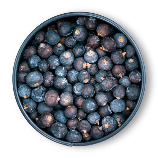 Bio Wacholderbeeren in einer dunkelblauen Schale aus der Vogelperspektive auf weißem Hintergrund.